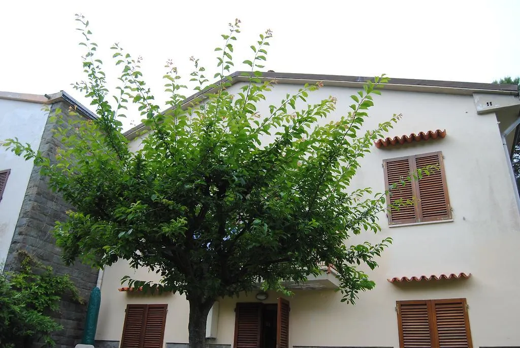 Il Susino Apartment Tirrenia Italy